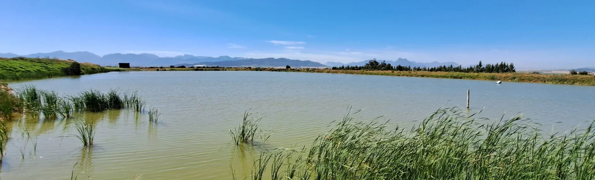 Zuid Afrika waterverhaal header