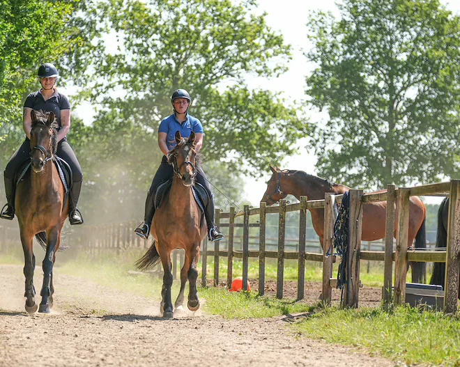 Aeres Hippisch Training Centrum