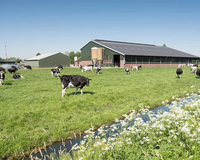 Natuurinclusief Ondernemen