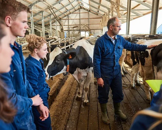 studenten en docent veehouderij in stal met koeien aeres farms aeres hogeschool dronten