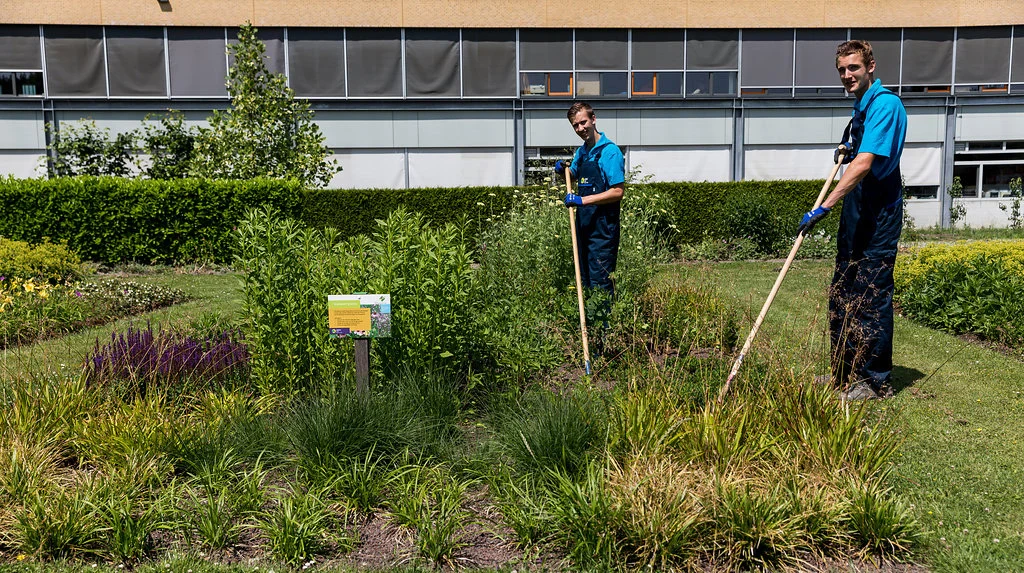 Studenten praktijkgericht aan de slag in tuin voor school