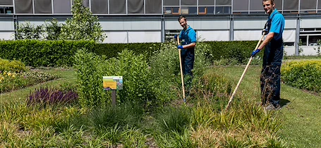 Studenten praktijkgericht aan de slag in tuin voor school