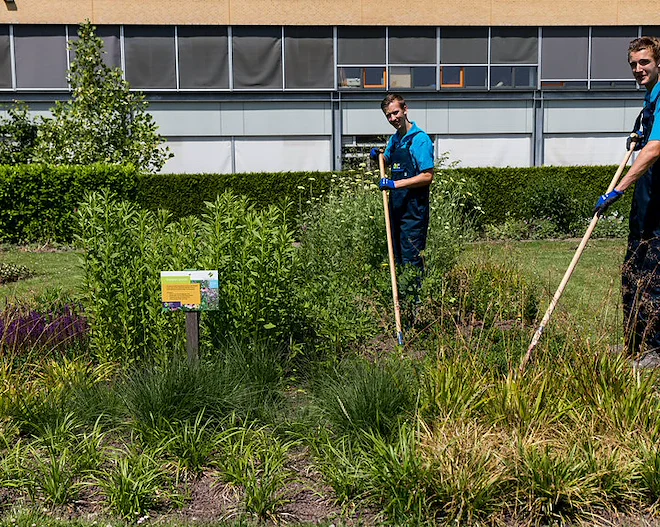 Studenten praktijkgericht aan de slag in tuin voor school