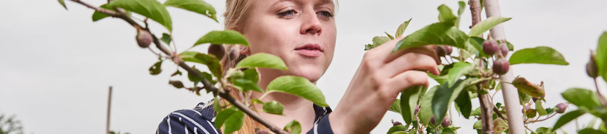 Horticulture student from Aeres University of Applied Sciences in field with tree