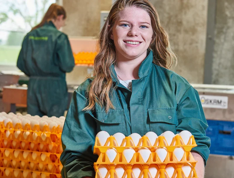 1 year bachelor programme International Poultry Management