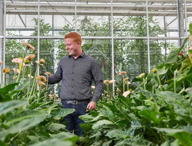 1,5-year Bachelor programme Plant Production