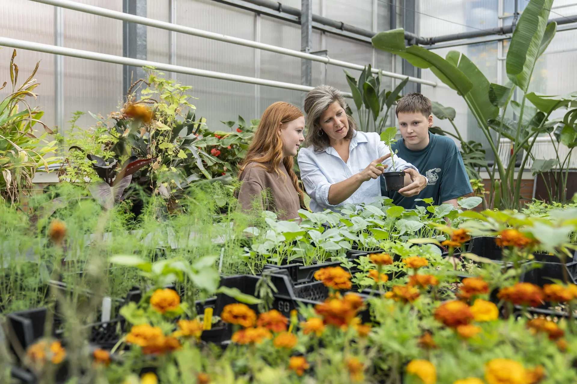 Aeres docent plantenteelt met studenten in kas