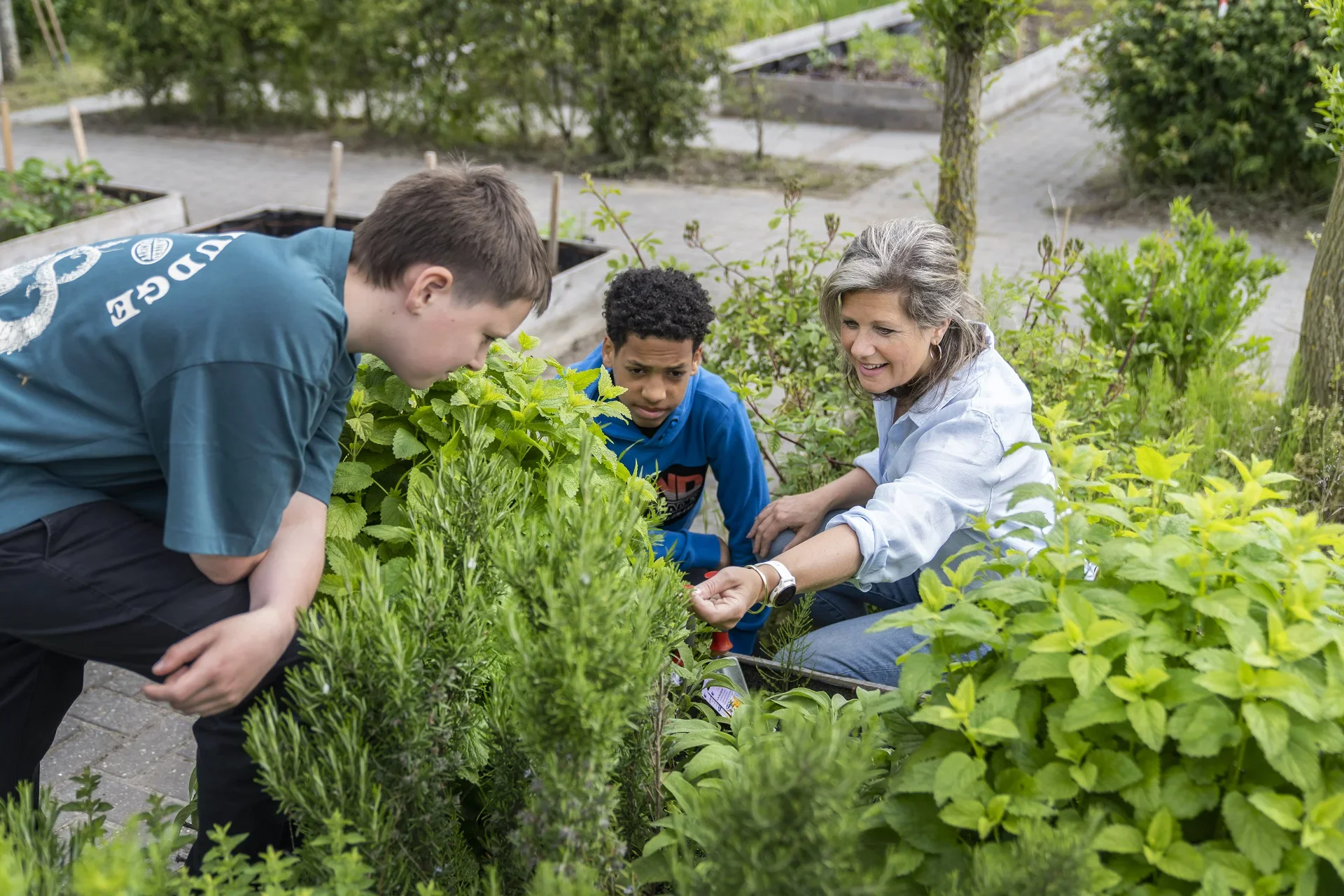 Aeres docent plantenteelt met studenten in kas